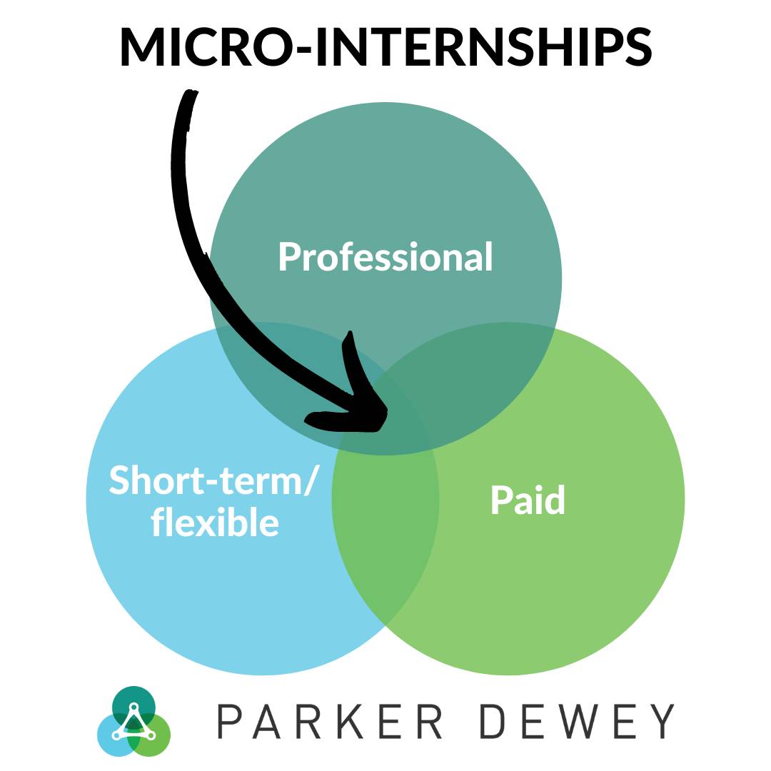 micro internships